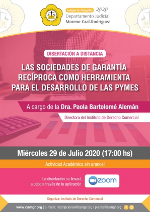 LAS SOCIEDADES DE GARANTIA